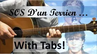SOS d'un terrien en détresse (Only the very best) - Michel Berger - Guitare Cover (Tablature dispo)