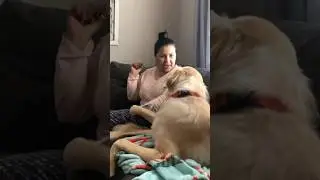 Her mom and the dog always argue 😂