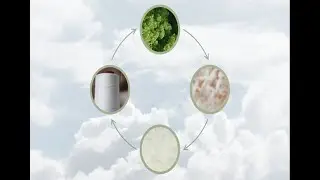 Coats EcoRegen : The sustainable choice for smaller environmental footprint