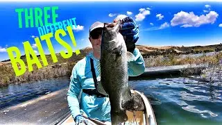 Catching Bass on Three Different Baits
