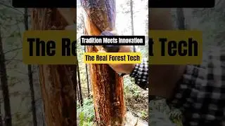 Tradition Innovation: Rustic Tool With Smart Design