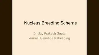 Nucleus Breeding Scheme in Livestock