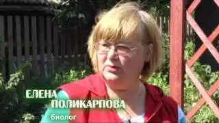 Моя дача 27 07 2016