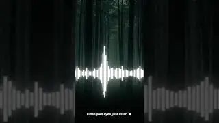 🌊 Rain + Brown Noise 🌧️🌲 Deep Sleep in 1 Minute