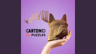 CARTONIC – твоє нове хобі