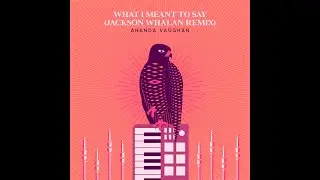 What I Meant To Say (Jackson Whalan Remix) - Ananda Vaughan feat. Ian Evans