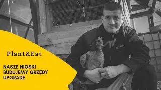 Budujemy grzędy dla kur !