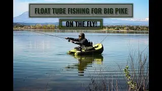 Float tube FLY fishing for BIG PIKE!