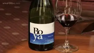 Garces Silva, Boya Pinot Noir 2015, wine review
