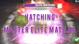 Angry Birds Evolution: Hatching Master Elite Matilda