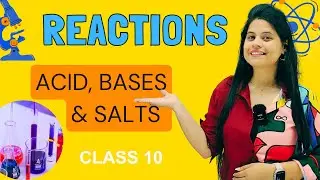 Acid, Bases & Salt | Chapter 2 | Reactions | Class 10 Science | NCERT