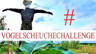 #VOGELSCHEUCHECHALLENGE | Gartensch&auml;dlinge verscheuchen