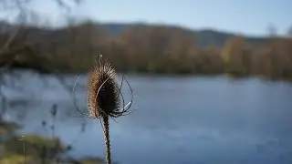 En passant par les étangs de Bas en Basset Haute Loire France ILCE KB Sony A7 HD 1080 Patrick ERTEL
