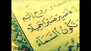 Surah Al-Ankabut | سورة العنكبوت | القارئ عبد الرزاق الدليمي | قراءة تصويرية جميلة