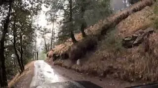 Descent from Hatu Peak to Narkanda | Misty Mountain Drive POV 🚗🌲