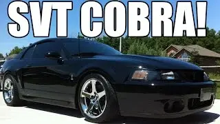 2003-2004 SVT Cobra - Borla Exhaust + JLT Intake (Pure Sound)