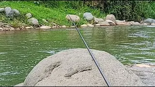 mancing di arus deras