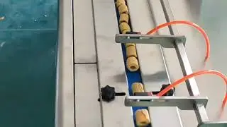 bowl centrifuge feeding one product in one pack flow wrap packaging line for snack date candy etc