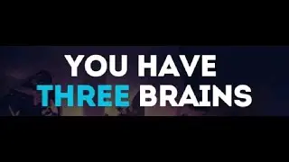You Have Three Brains! The Heart, Gut and the Head| The gut-brain connection.