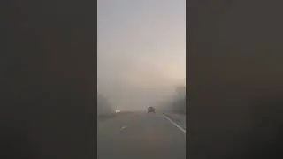 Foggy Morning Drive #fog #morning #beautiful