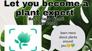 Best Plant Names App 2021// How To Identify Plant Names// The Best App Identifying Plants