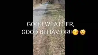 Good weather, good behavior 🌞😚🌬❄