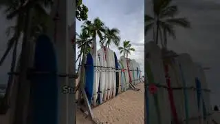 Student Life Tiktok  lea fiorelli
