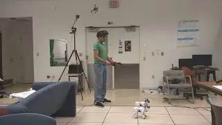 Commanding SONY AIBO robots using Virtual Reality