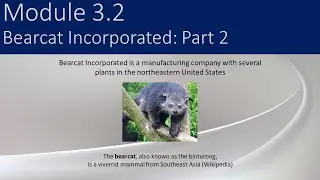 3.2 - Bearcat Incorporated Part 2