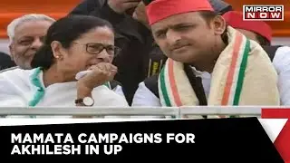 Mamata Banerjee Joins Virtual Rally With Akhilesh Yadav In Uttar Pradesh