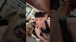 NO RESPONDE PERO SIEMPRE TIRA UN LAAAAAIKIIII 💖🥰😂 #challenge #tiktok #tiktokvideo #viralshorts