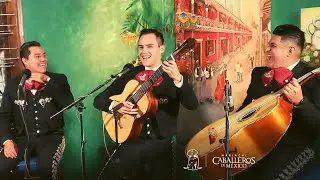 Me Gustas - Mariachi Caballeros de México