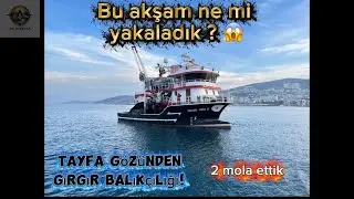 Bu geceki avda neler mi çıktı ?