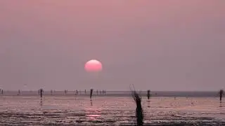 Nikon P1000  The Sun goes around 07.04.2019. 2   UHD