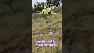 3 दिन और#farming #farmlife #india #indian #trending#motivation #shorts #nature #viral #reels#short
