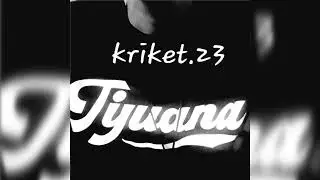 Kriket 616. Activos Y Puestos