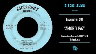 Escuadr&oacute;n 201: 