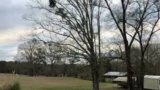 Sunday morning Birds!!