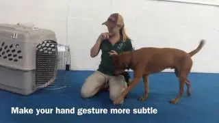 How to clicker train - pushing a door close with your nose