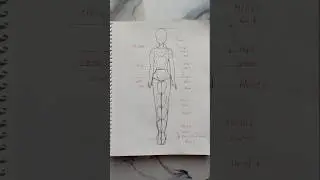 Easy way to draw body proportion #shorts #tutorial