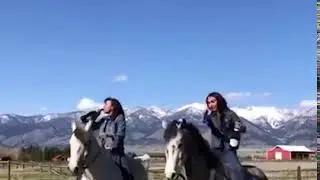 Champagne on horse.