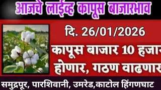 🔴26 जानेवारी मानवत कापूस भाव ।Kapus bajar bhavmanvat।कापुस बाजार भाव आजचे।Kapus Bhav Today|#cotton