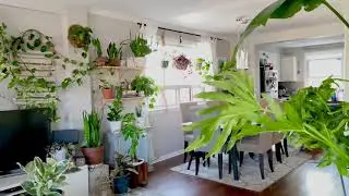 Urban Jungle Living room