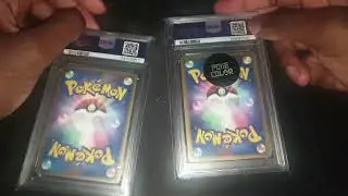 Random Poketalk Episode: 13