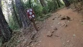 Empire Mine Mountain Biking I Fall Colors and History in Grass Valley