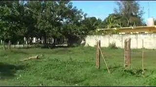 Honduras Real Estate TELA - Nice lot en Barrio Venecia