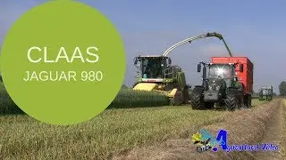 Claas Jaguar 980   Claas Direct Disc 520