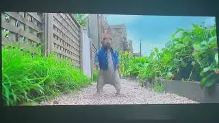 Peter rabbit 2018 parte 4