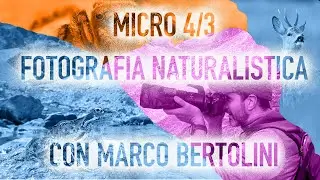 Micro4/3 Fotografia naturalistica con Marco Bertolini