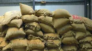 Rice Poha Automation Plant - Thaakorgee Industries